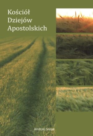 Kościół Dziejów Apostolskich