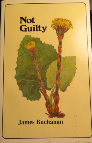 NOT GUILTY