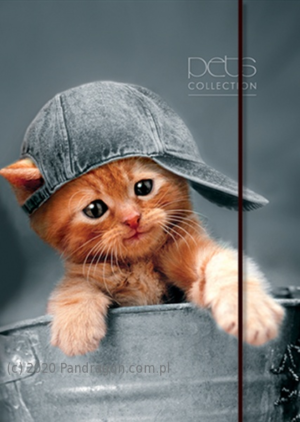 Teczka papierowa lakierowana  kolor