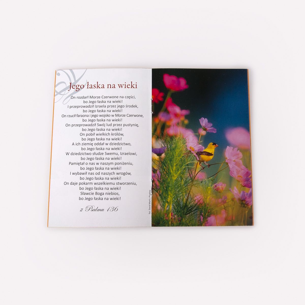 Psalmy uwielbienia - obrazek 2