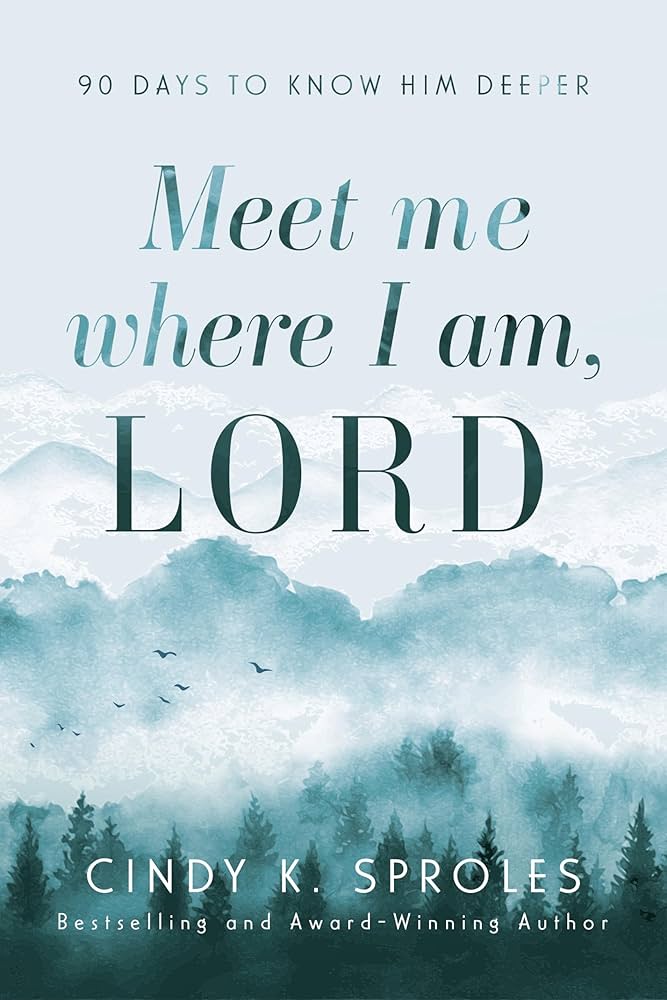 Meet me where I am, Lord