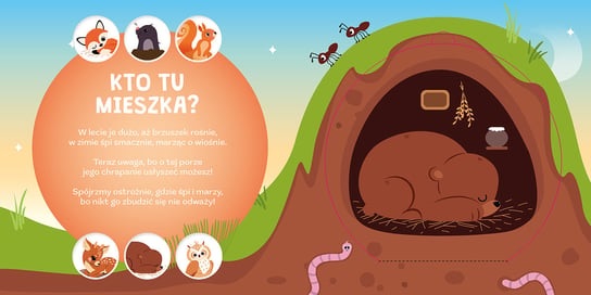Gdzie się sowa do snu chowa ? - obrazek 3