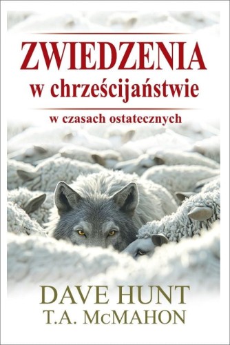 Zwiedzenia w chrześcijaństwie